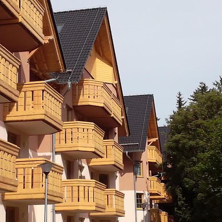 Апартаменты Apartament Podgorze 21 Шклярска-Поремба Экстерьер фото