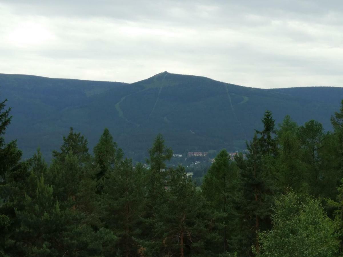 Апартаменты Apartament Podgorze 21 Шклярска-Поремба Экстерьер фото